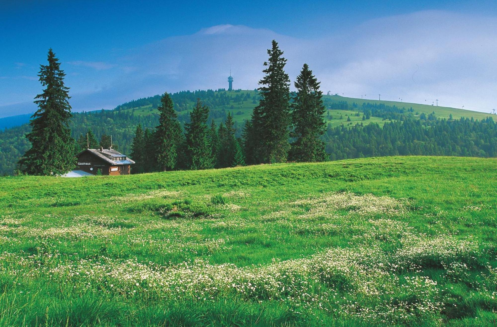 Hotel Charlott Eisenbach  Bagian luar foto